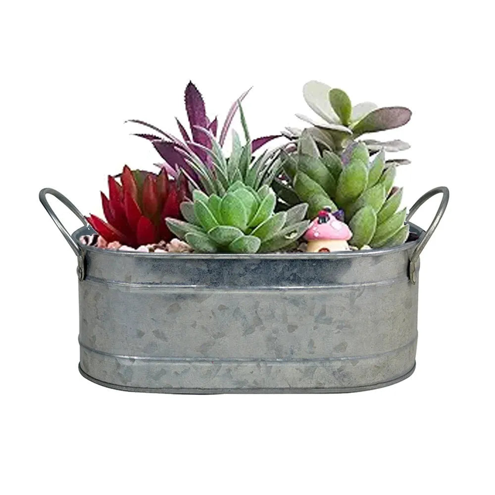 Galvanised iron desktop flowerpot for succulents with water-saving design