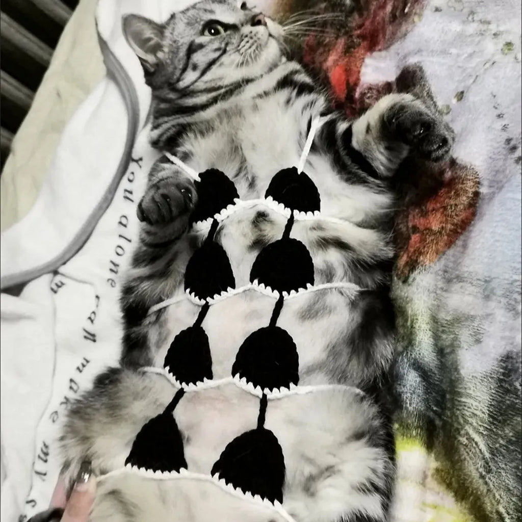 Cat wearing Halloween bikini costume with underwear and bra components in festive colours