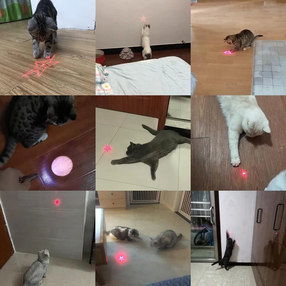 Black or pink infrared cat teaser key chain toy with USB charging port measuring 5 x 2.5cm