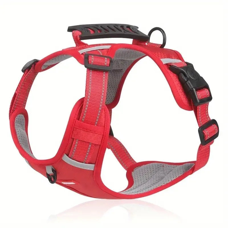 Adjustable polyester dog chest harness and lead in assorted colours on a white background