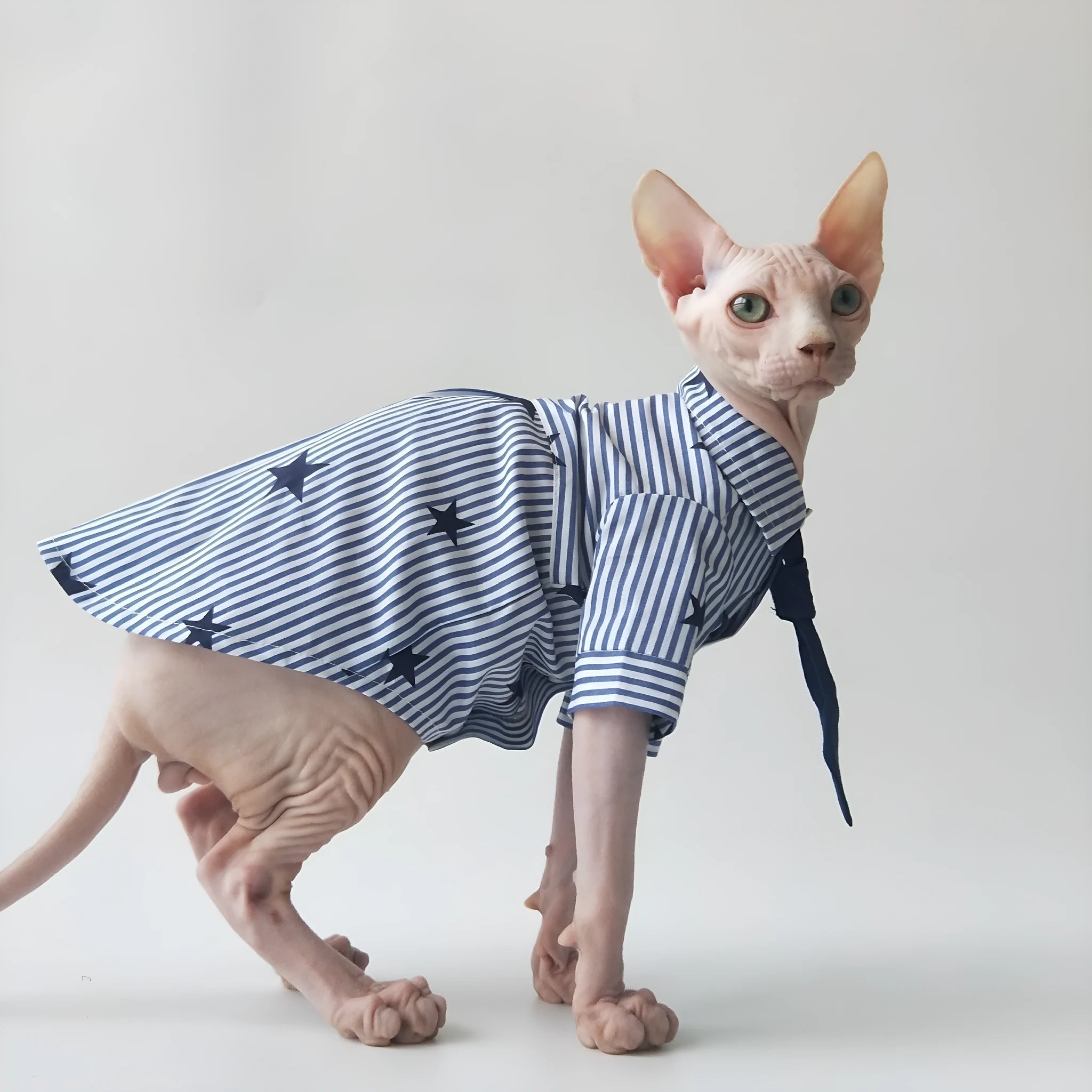 Casual thin cotton shirt for Sphinx hairless cats in breathable design
