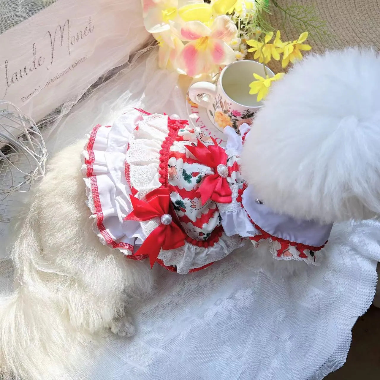 Rabbit skirt pattern princess style dog dress on a small dog, showing the fit and design.