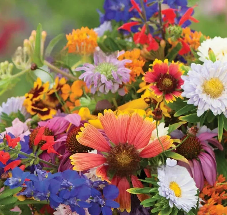 Packet of mixed wildflower seeds for garden planting, bulk quantities available.