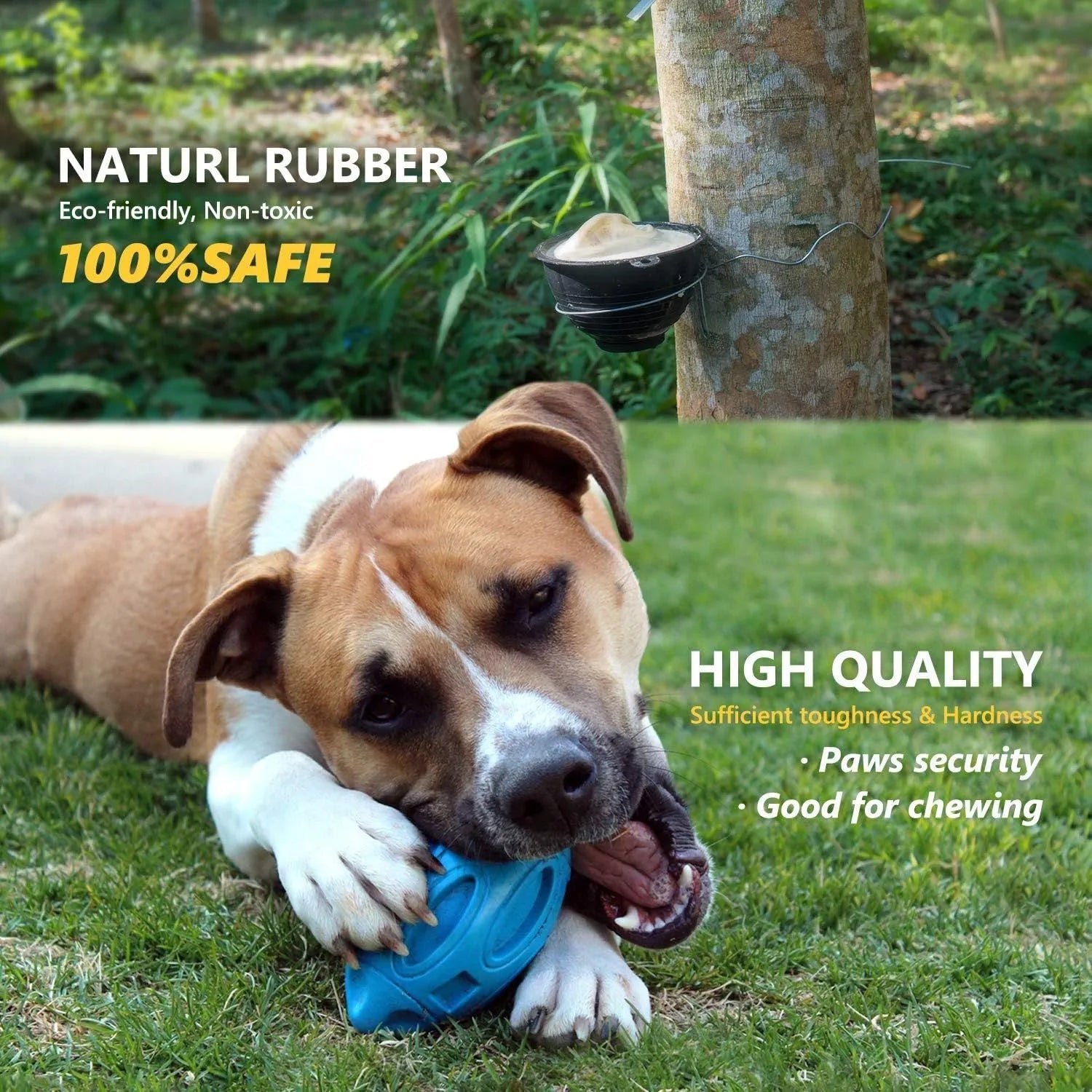 Blue, green, and orange natural rubber squeaky dog ball with textured surface grooves for aggressive chewers.