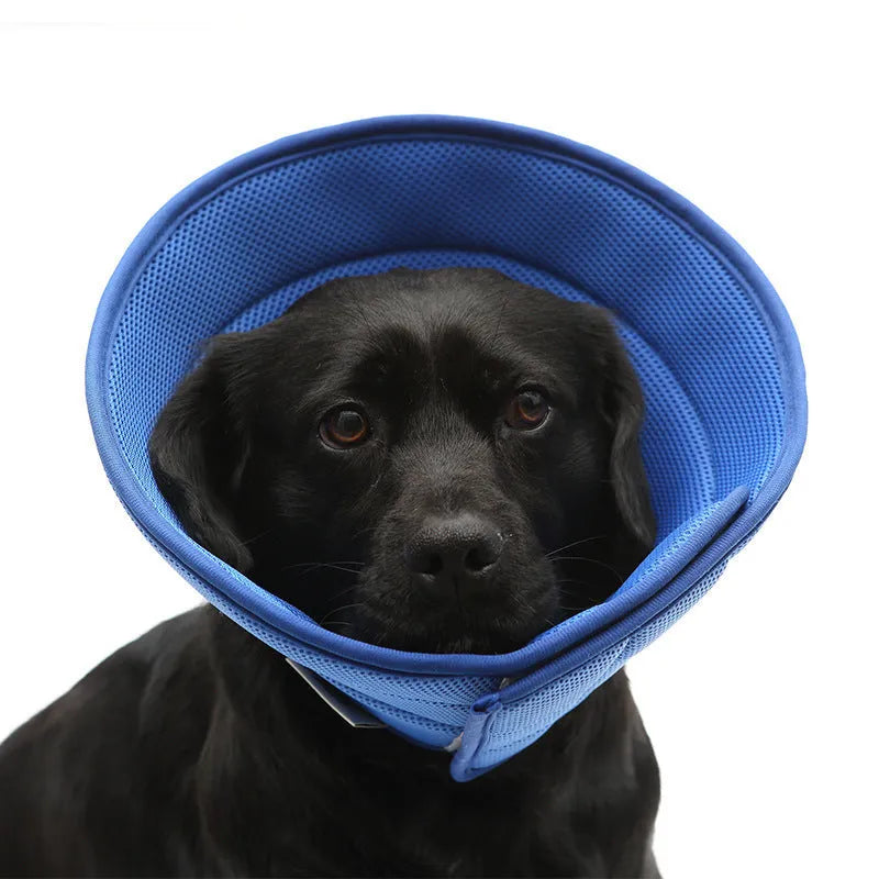 Transparent non-woven fabric pet medical recovery collar for dogs and cats