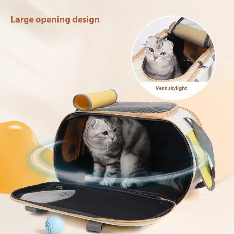 Large foldable canvas pet bag for dogs and cats in black colour with shoulder strap.