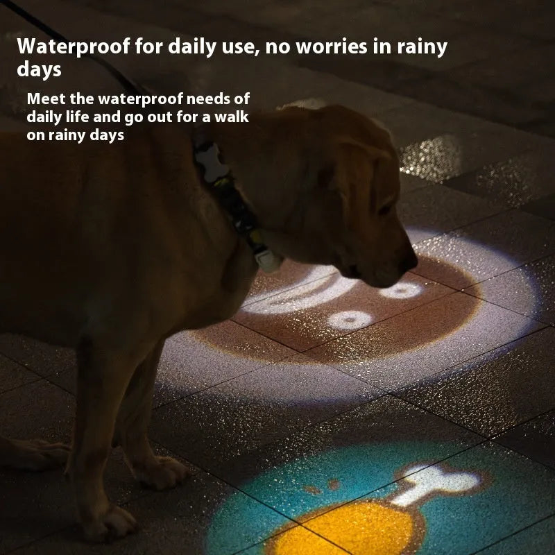 Pet Luminous Collar LED light-up accessory in four colour options with decorative patterns