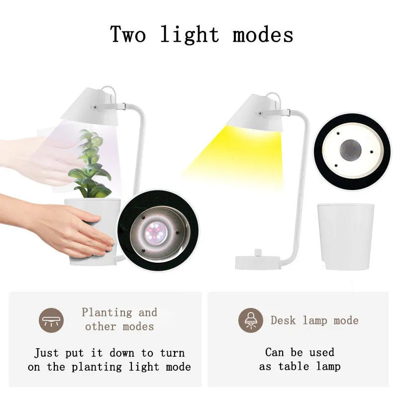 White plastic desktop hydroponic container for soilless plant growth.
