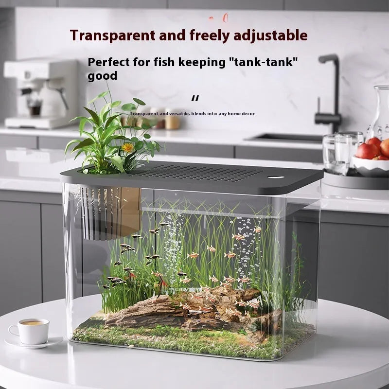 Mini betta fish tank aquarium with cover lid measuring 32cm long by 18.5cm wide
