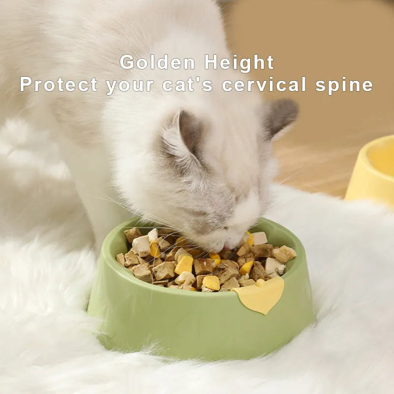 Green plastic double pet bowl with flower shape and separate food and water compartments.