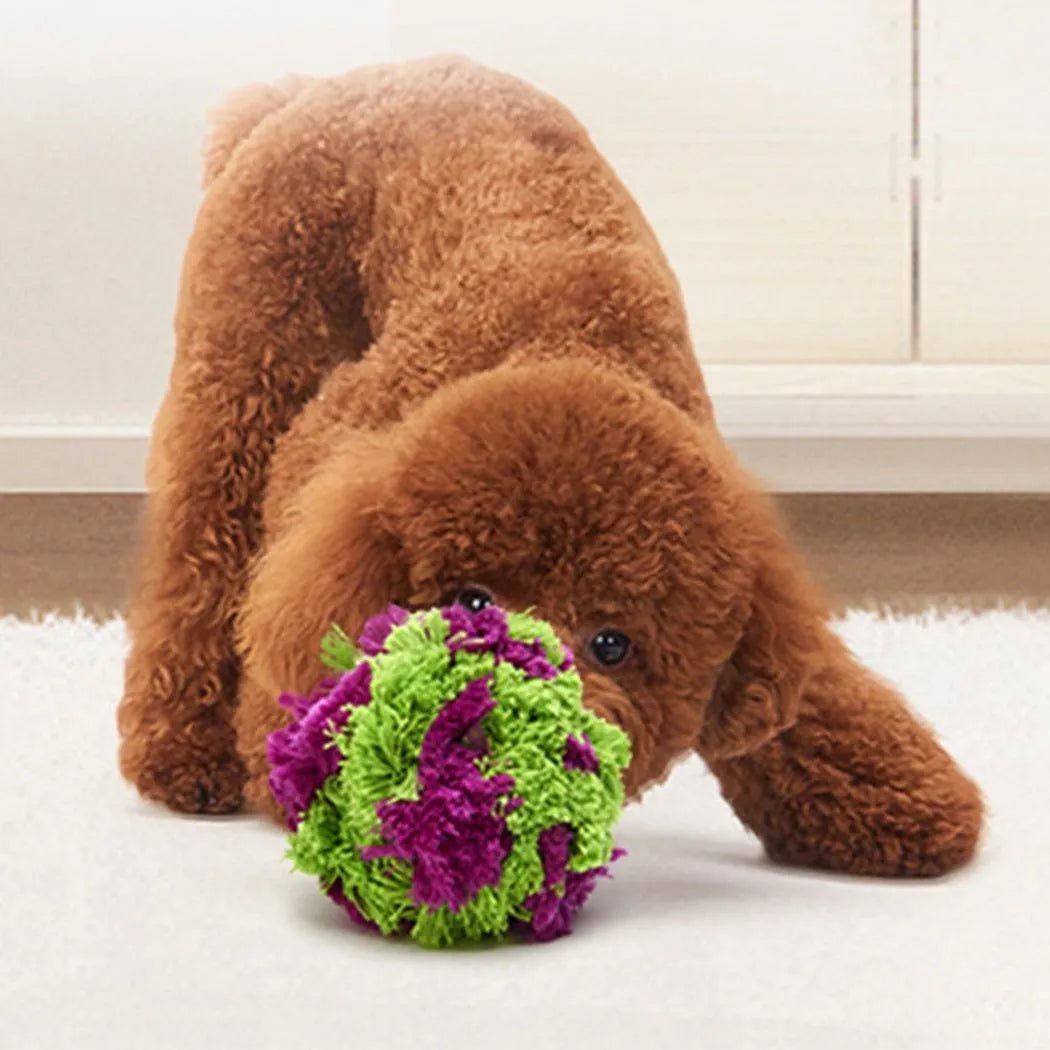 Purple plush sea ball dog chew toy with 15cm diameter for teeth cleaning