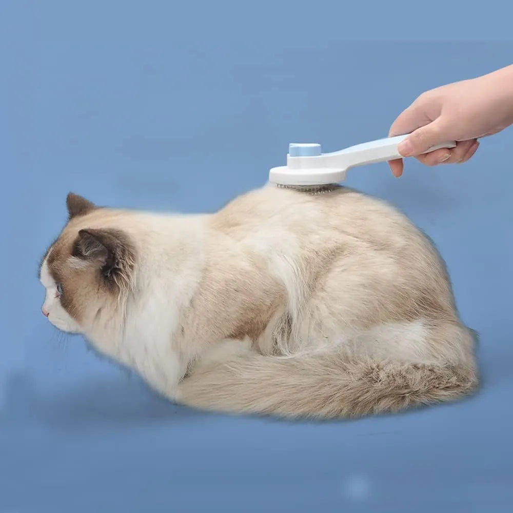 Blue self-cleaning cat brush with rubber handle and metal pins for removing loose pet fur.