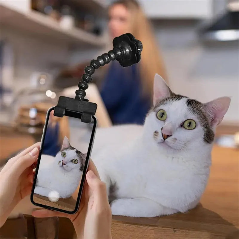 Black pet photography tool with phone clamp and treat holder for cat and dog photography