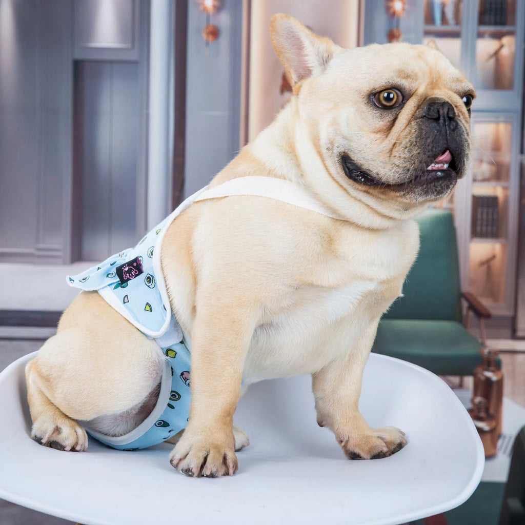 Blue washable cotton female dog menstrual safety pants from Bull
