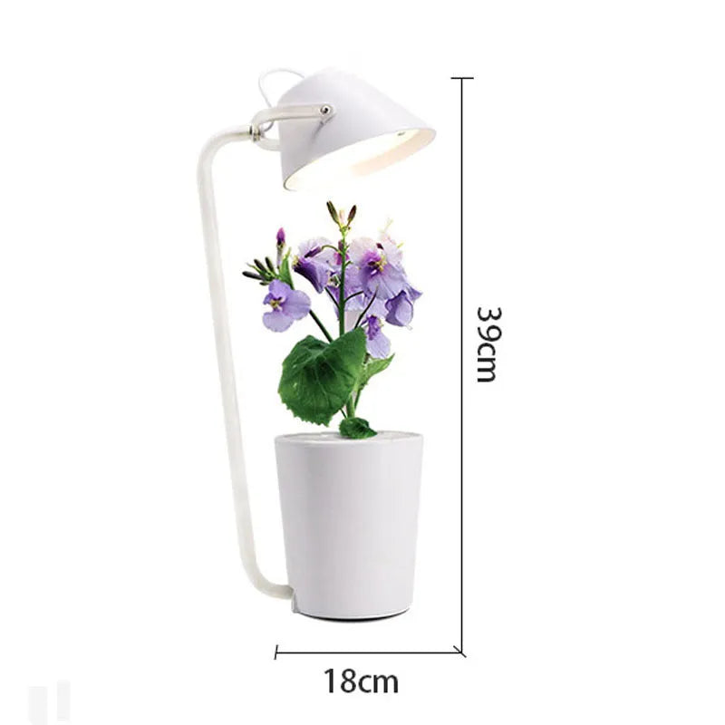 White plastic desktop hydroponic container for soilless plant growth.