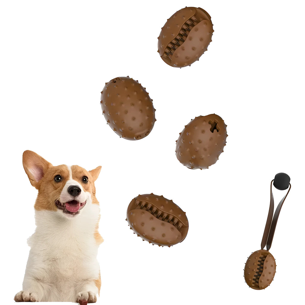 Coffee bean shaped TPR dog toy with rope knot for tooth cleaning