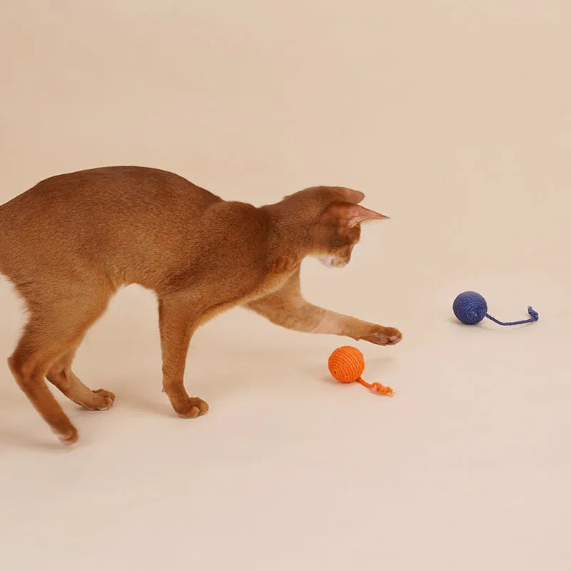 Interactive cat toy set with teaser stick, bite resistant catnip balls, and multiple colour options