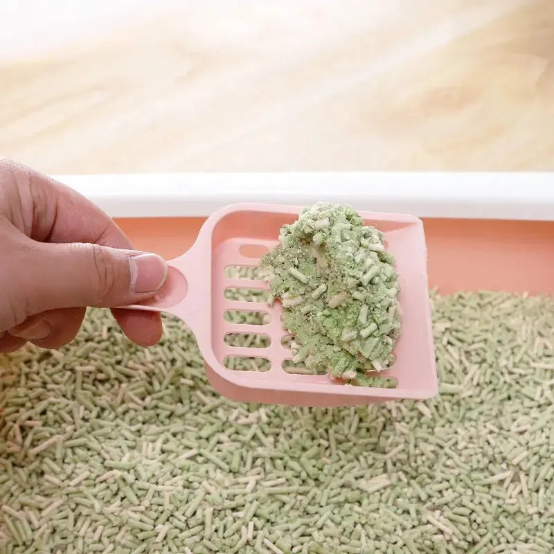 Plastic cat litter scoop in blue, green or pink measuring 20cm long by 9cm wide