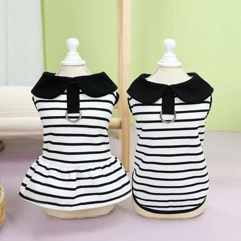 Striped cotton T-shirt and skirt set for dogs in summer casual pet clothing