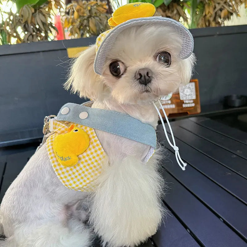 Pet harness and leash set with wire rope pulling toy, cute hat, and cat clothes on a dog and cat.