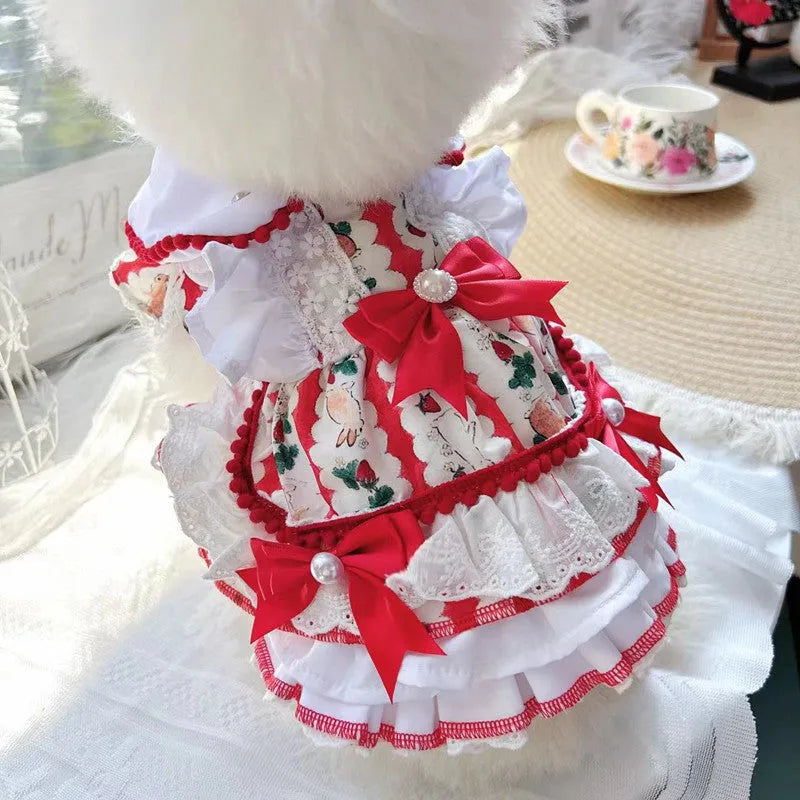 Rabbit skirt pattern princess style dog dress on a small dog, showing the fit and design.