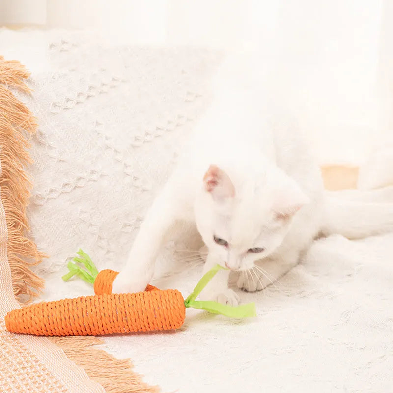 Set of interactive cat toys including carrot bites, paper toys, ringing stones, sticks and tooth grinding items