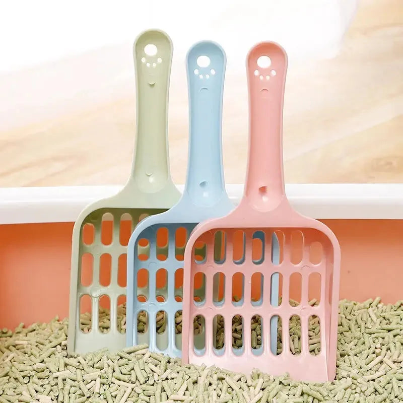 Plastic cat litter scoop in blue, green or pink measuring 20cm long by 9cm wide