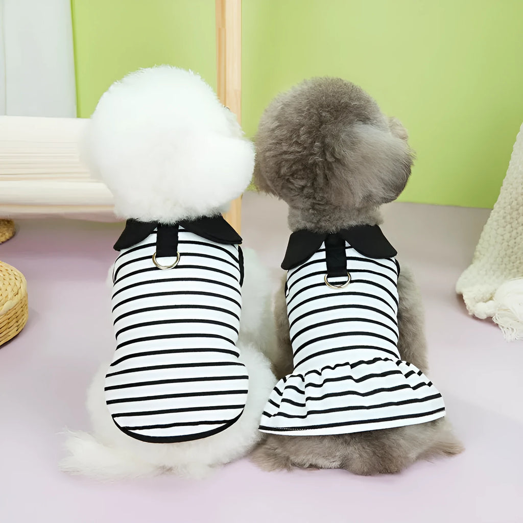 Striped cotton T-shirt and skirt set for dogs in summer casual pet clothing