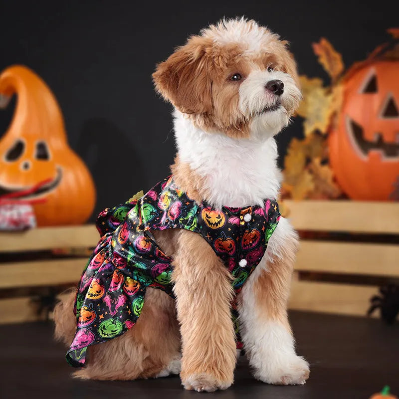 Dog wearing an angel wings Halloween costume in bright orange or purple colours
