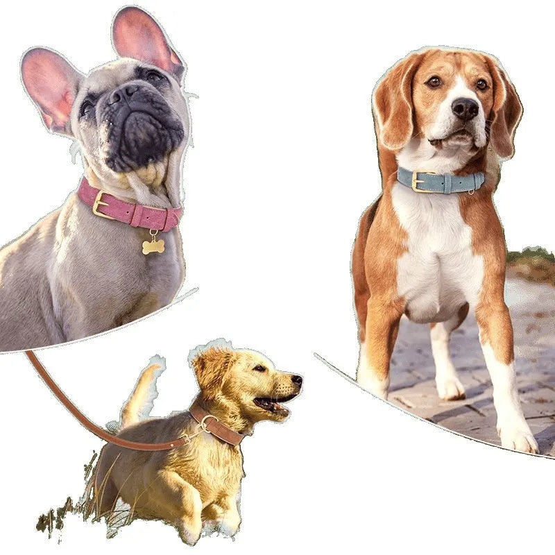 Mohair leather double-layer dog collar and matching lead in blue, shown on a size chart for S, M, L, and XL.