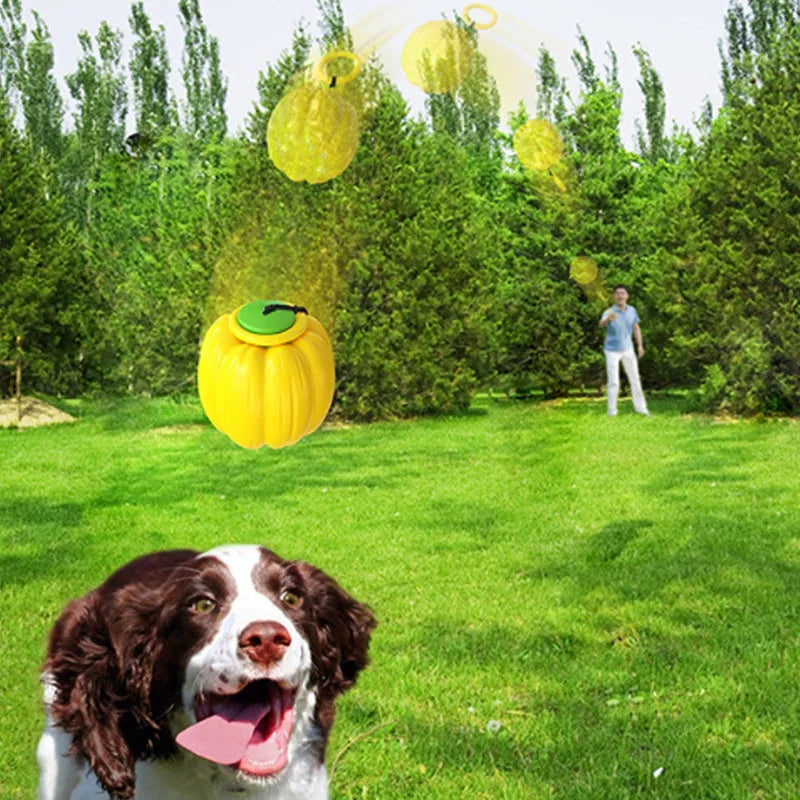 Pumpkin-shaped plastic dog chew toy with squeaker for small dogs in orange colour