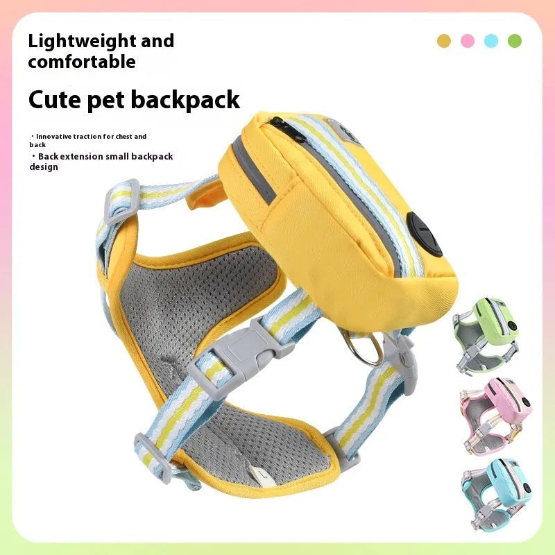 Explosion-proof anti-strangulation pet harness with breakaway buckle on a small dog, includes 1.5 metre rope.