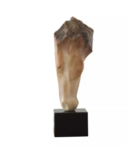 Abstract French retro style horse head desktop sculpture with carved finish, 50cm tall.