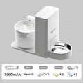 Wireless thermostatic cat water dispenser with 2-in-1 drinking feature and filter for aquarium use