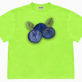 Short sleeved blueberry and fruit patchwork print t-shirt on a hanger.