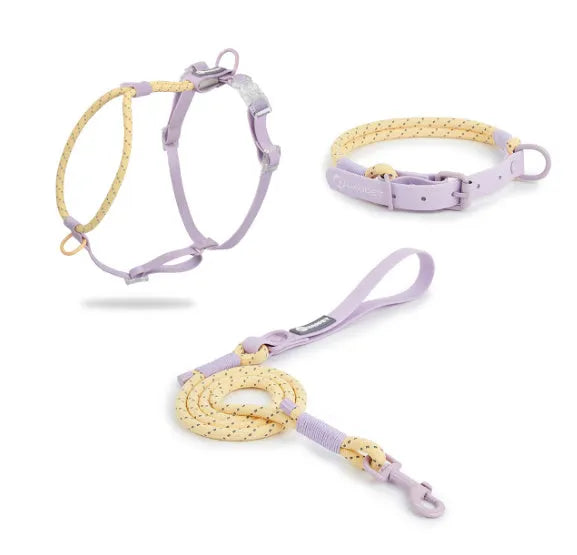 Solid colour PVC dog leash with hand-holding rope in crimson purple yellow or taoyao green