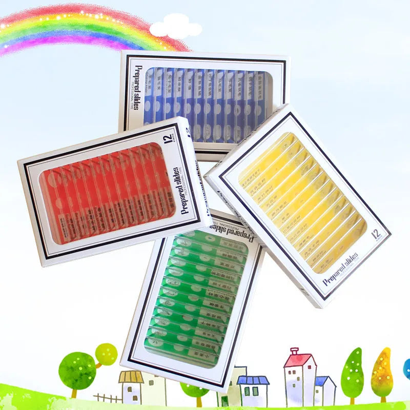 48 plastic microscope slides in red, green, yellow, and blue boxes containing prepared plant and animal specimens