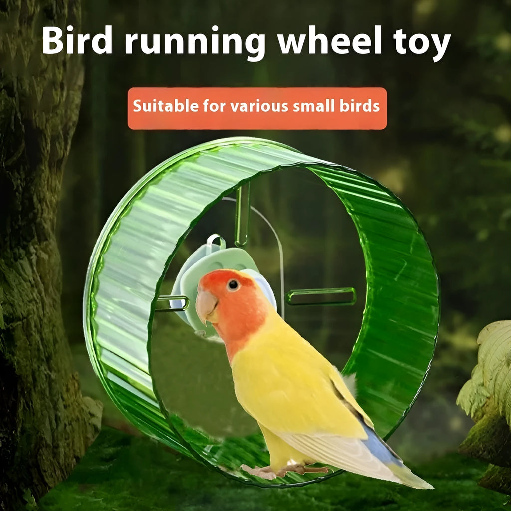 A plastic parrot running wheel exercise toy shown in a transparent colour variant.