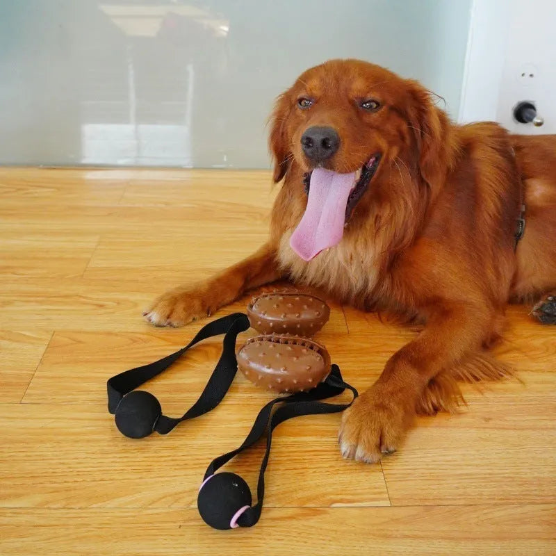 Coffee bean shaped TPR dog toy with rope knot for tooth cleaning