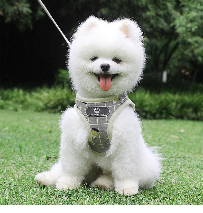 Breathable mesh small dog harness and leash set in grey with reflective strips, five sizes