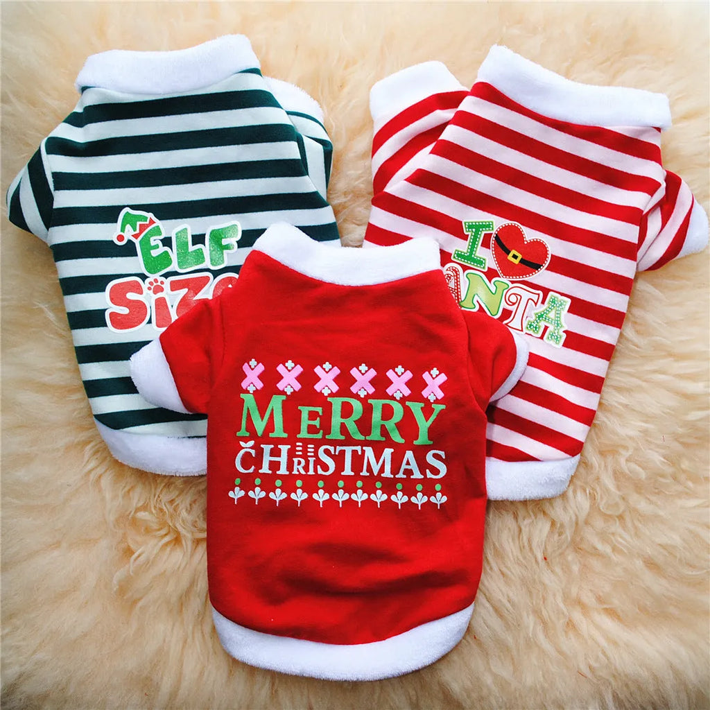Christmas dog outfit with hairy border trim in cotton terry sweater fabric on a small dog red colour option