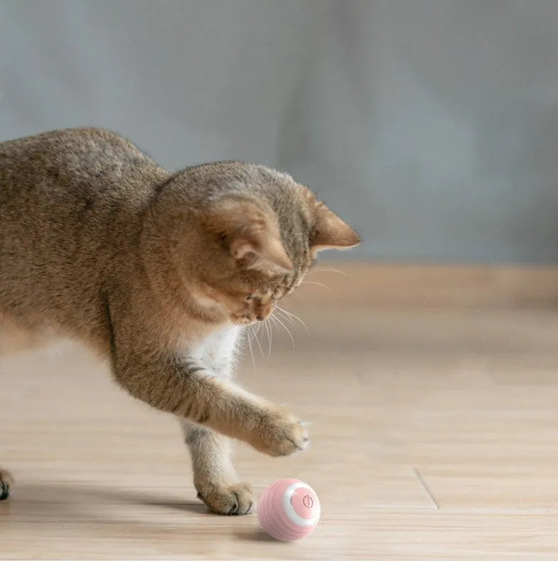 Blue automatic smart cat toy ball with rechargeable moving and bouncing function