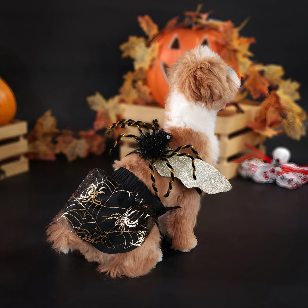 Polyester halloween party dog suit costume in suit colour design shown in multiple sizes