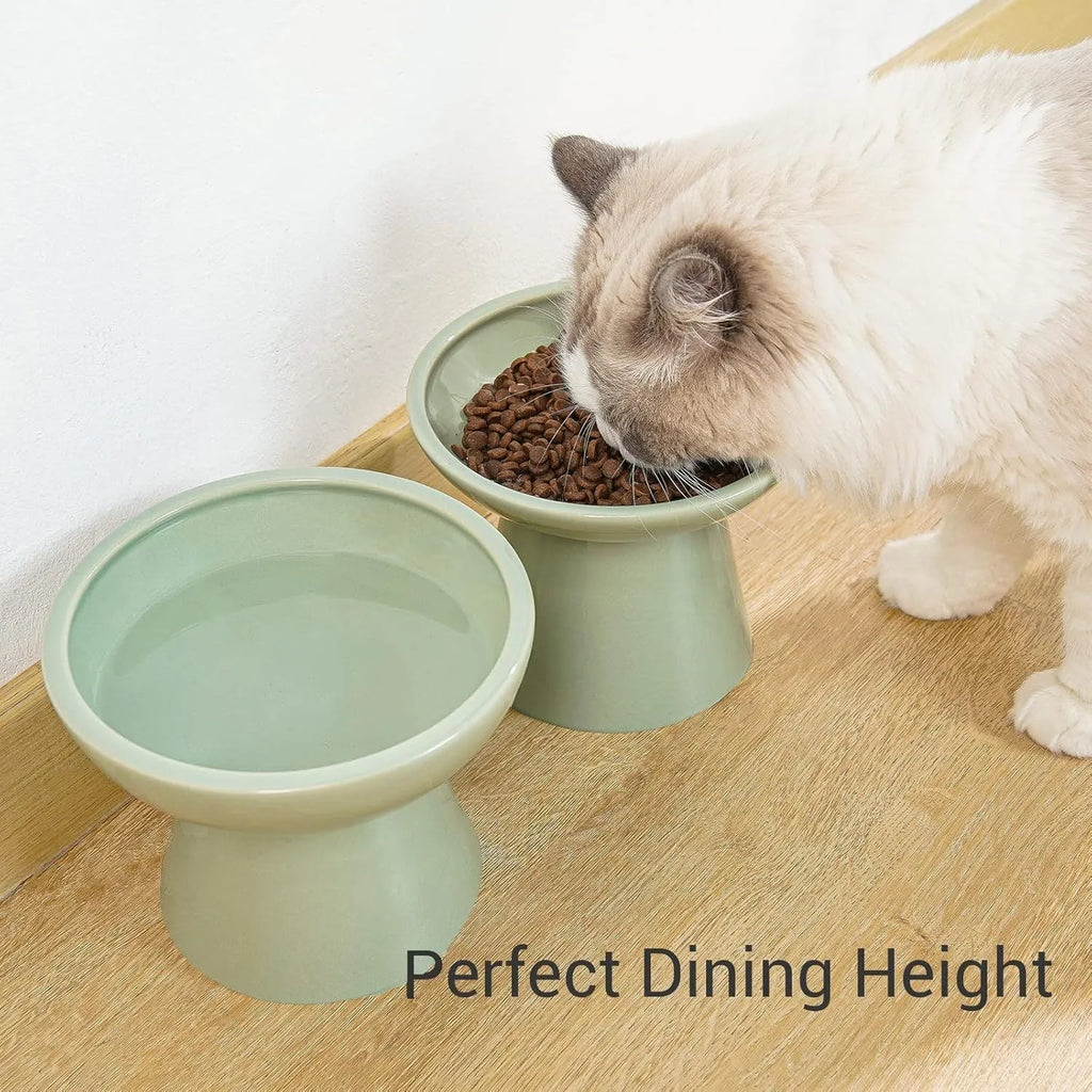 Elevated ceramic cat bowl set with wide shallow dish in blue green pink white colour options