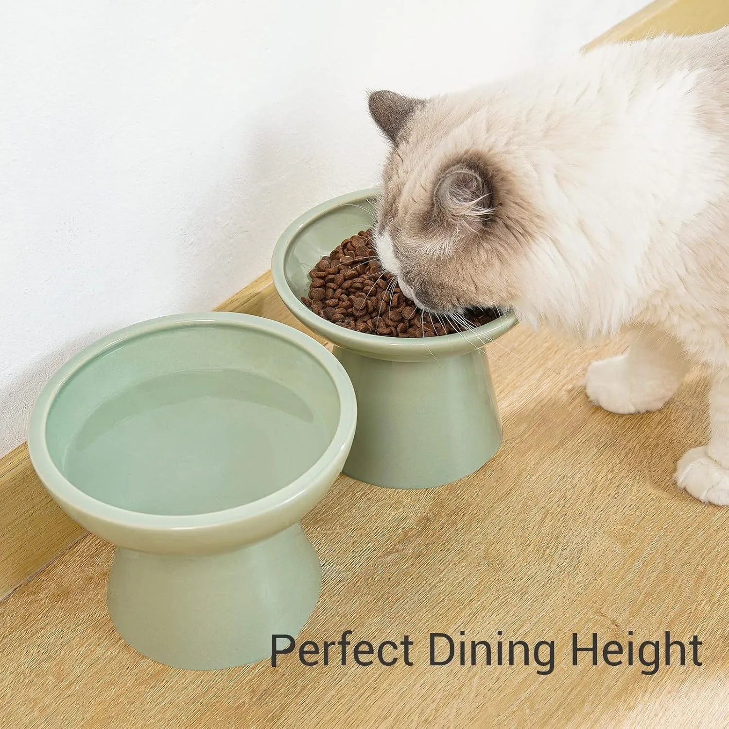 Elevated ceramic cat bowl set with wide shallow dish in blue green pink white colour options