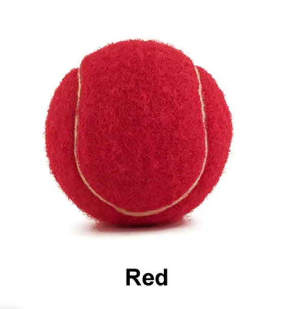 Bright coloured 6.3cm rubber dog tennis ball toy for bite-resistant fetch and chew play.