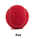 Bright coloured 6.3cm rubber dog tennis ball toy for bite-resistant fetch and chew play.
