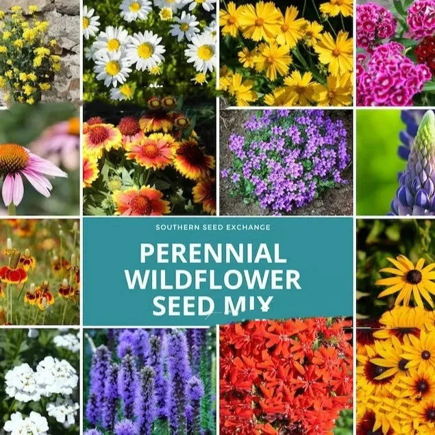Packet of mixed wildflower seeds for garden planting, bulk quantities available.
