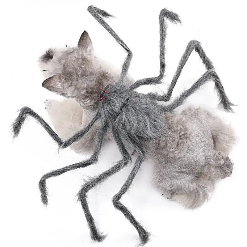 Gray Halloween spider costume on dog with eight faux legs and four-leg openings