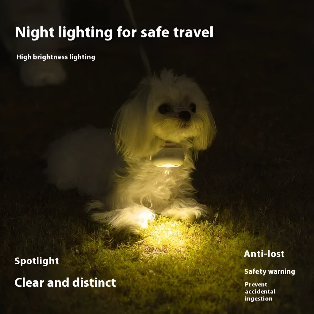 Pet Luminous Collar LED light-up accessory in four colour options with decorative patterns